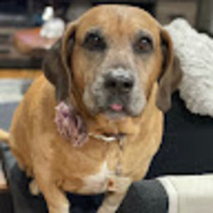 Meet your Posher, Jayden